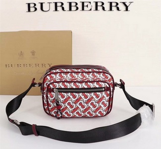 Burberry Handbags 251